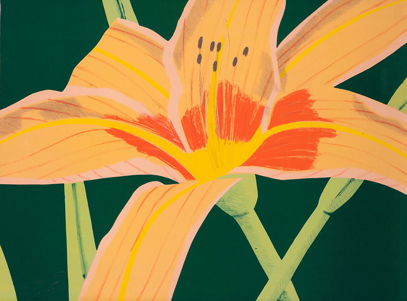 In unserer Galerie zum Verkauf stehendes Bild von Alex Katz (Maler, Pop Art): Day Lily 1