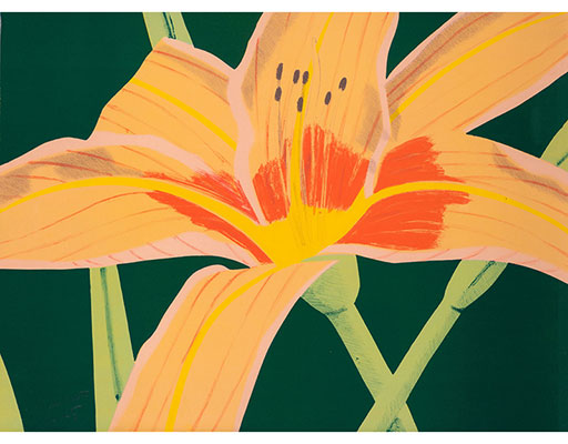In unserer Galerie zum Verkauf angebotenes Bild von Alex Katz (Maler, Pop Art): Day Lily 1 (klein)