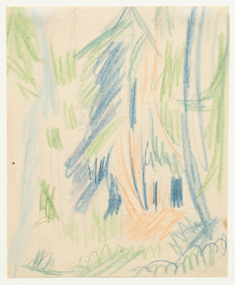 In unserer Galerie zum Verkauf stehendes Bild von Ernst-Ludwig Kirchner (Maler, Expressionismus): Tannenwald