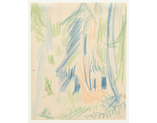 In unserer Galerie zum Verkauf angebotenes Bild von Ernst-Ludwig Kirchner (Maler, Expressionismus): Tannenwald (gro&szlig;)