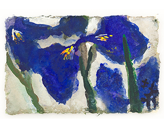 In unserer Galerie zum Verkauf angebotenes Bild von Klaus Fu&szlig;mann (Maler): Iris (klein)